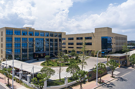 Company Video